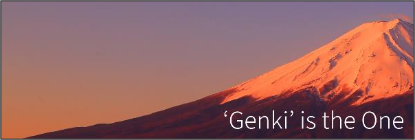 Genki One